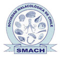 smach Sociedad Malacológica de Chile